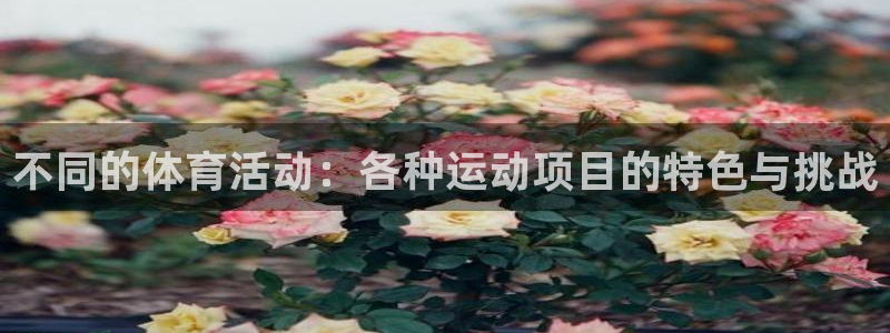 利记官网下载招商电话号码是多少:不同的体育活动:各种运动项目