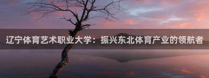利记官方集团官网:辽宁体育艺术职业大学:振兴东北体育产业的领