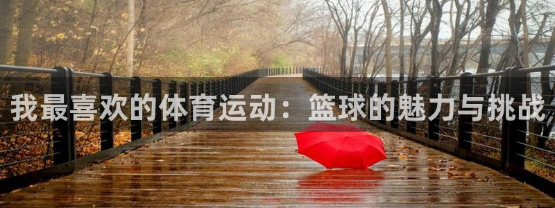 利记官方正版app官方:我最喜欢的体育运动:篮球的魅力与挑战